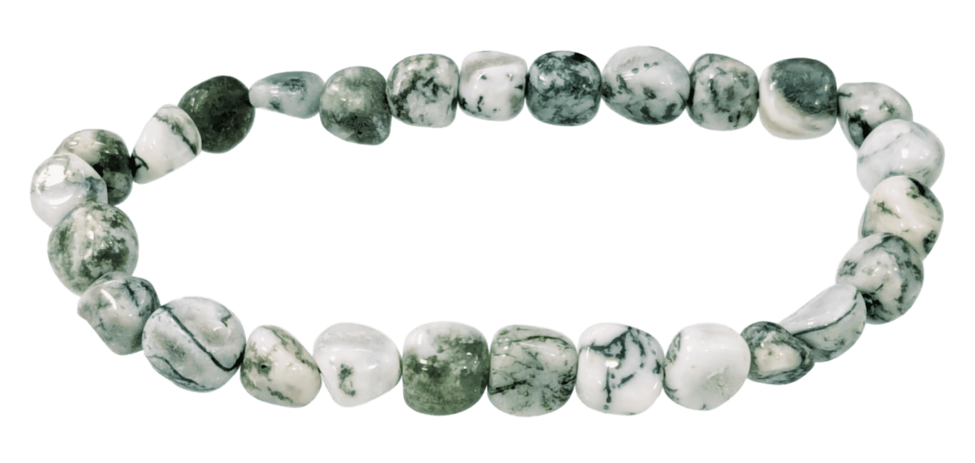 Tree Agate A tumbled stones bracelet