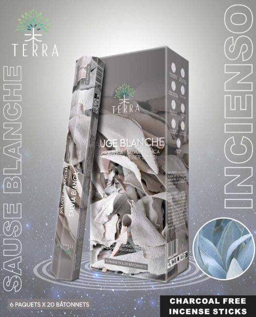 Terra White Sage hexa charcoal-free incense